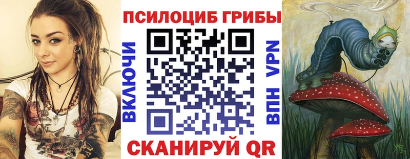 Псилоцибиновые грибы Cubensis  где можно купить   Кохма 